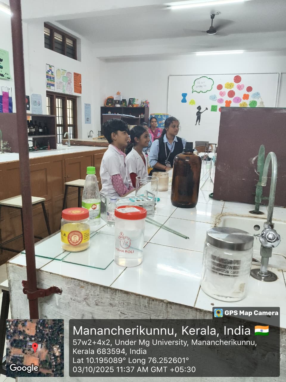 Mini Science Project